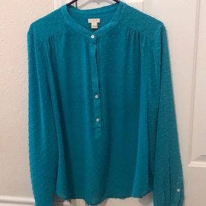 Turquoise long sleeved J.Crew blouse.